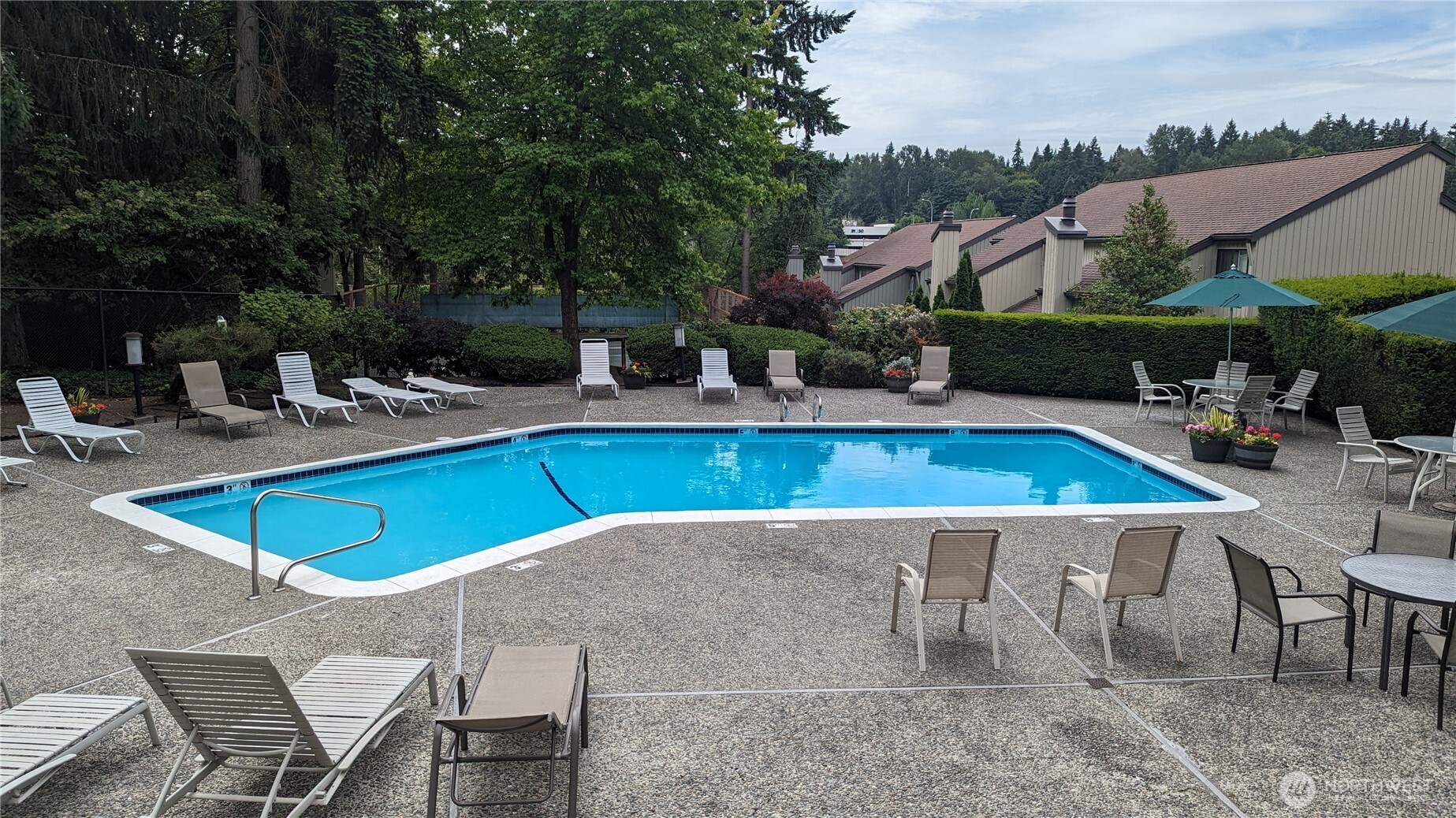 10819 NE 37th Place Bellevue WA 98004