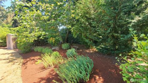 12051 SE 42nd Street Bellevue WA 98006