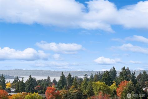 838 Avenue Square NE Bellevue WA 98004