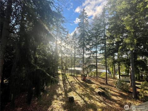 547 157th Avenue SE Bellevue WA 98008