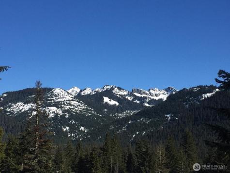 220 Tanner Way Snoqualmie Pass WA 98068