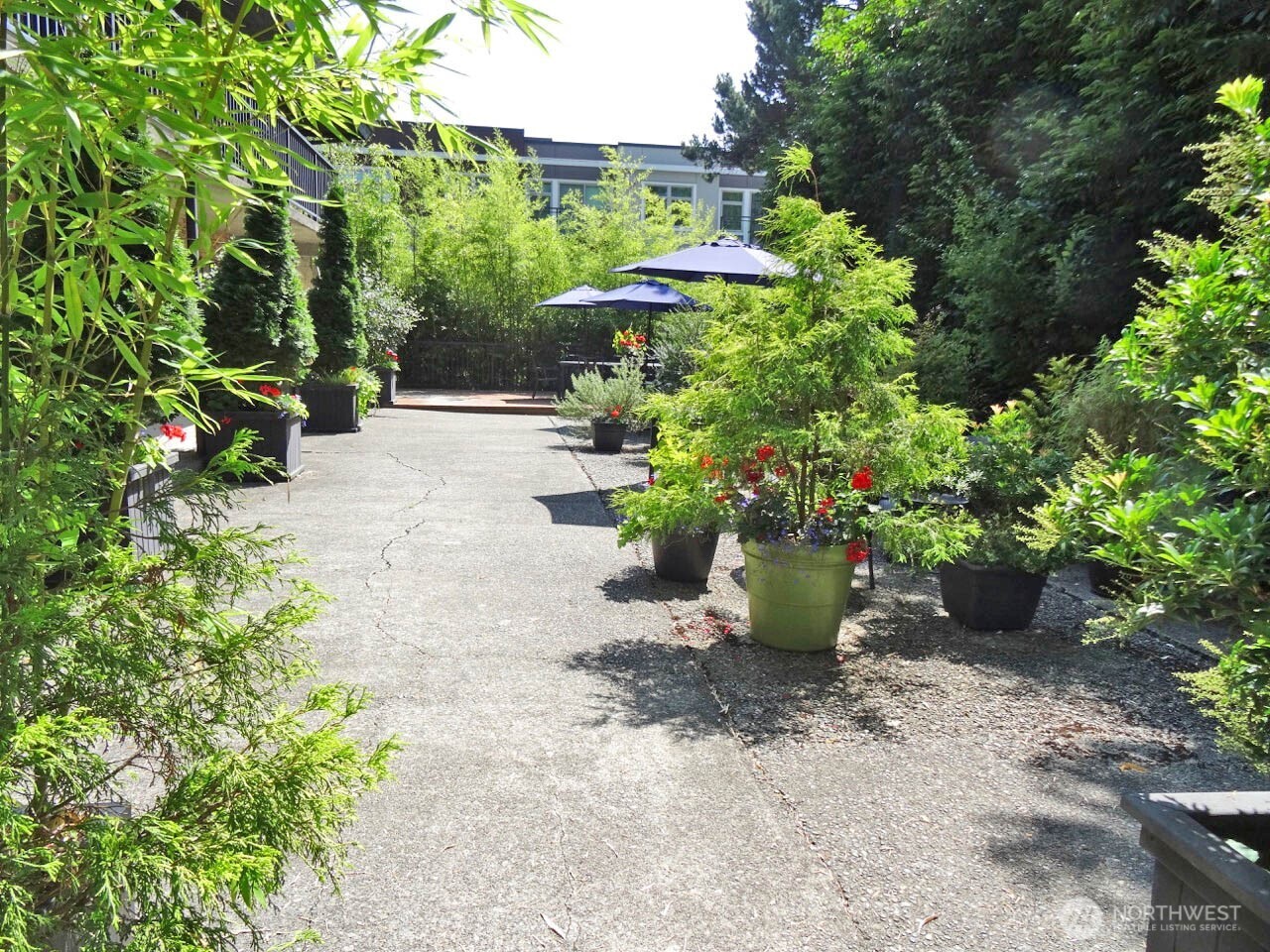 343 4th Avenue Kirkland WA 98033