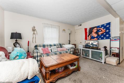 336 Willey Street Morgantown WV 26505