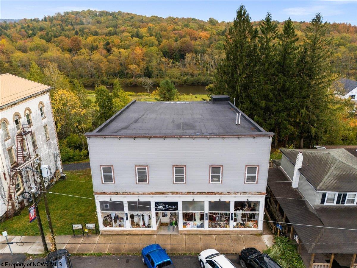 437 William Avenue Davis WV 26260-000