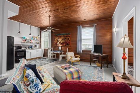 437 William Avenue Davis WV 26260-000