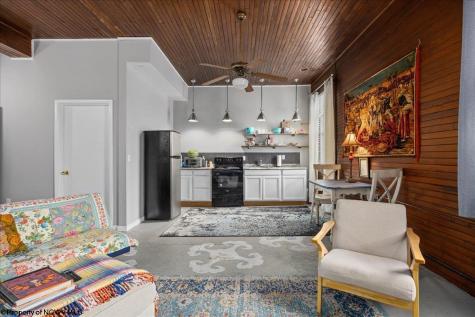 437 William Avenue Davis WV 26260-000