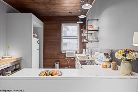 437 William Avenue Davis WV 26260-000