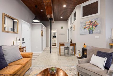 437 William Avenue Davis WV 26260-000