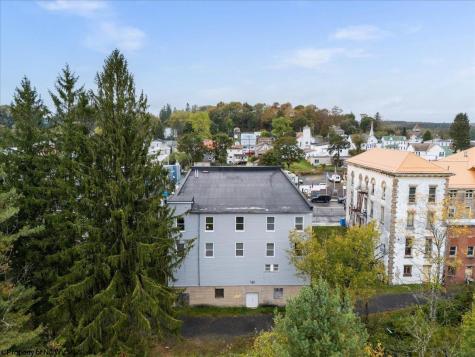 437 William Avenue Davis WV 26260-000