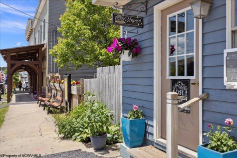 454 William Avenue Davis WV 26260