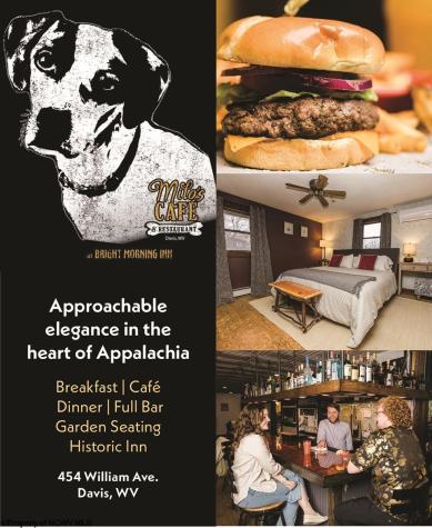 454 William Avenue Davis WV 26260