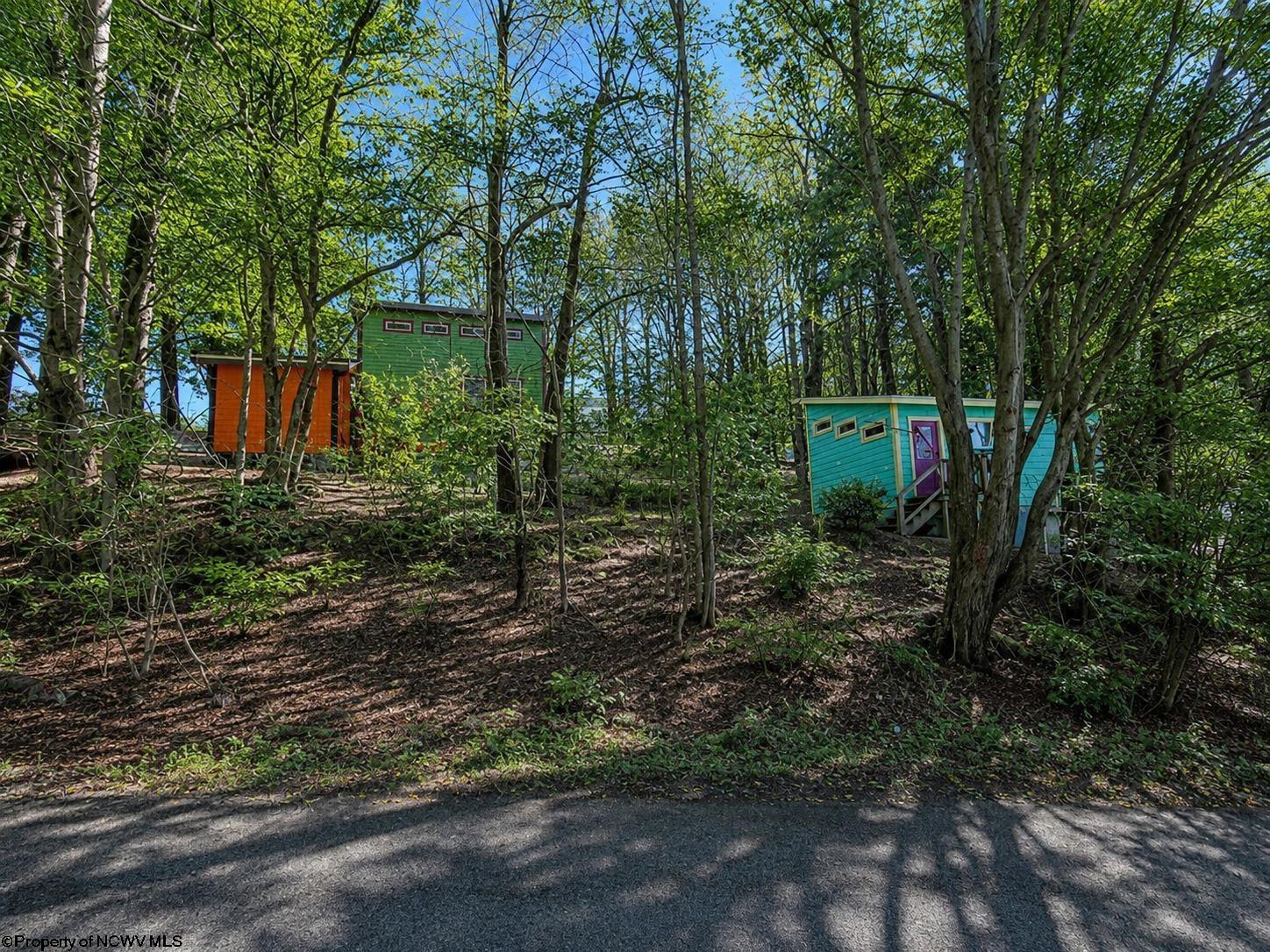 142 Jacob Pace Street Thomas WV 26292