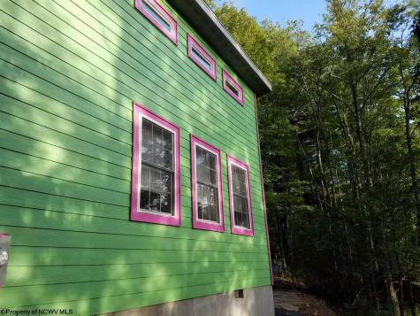 142 Jacob Pace Street Thomas WV 26292
