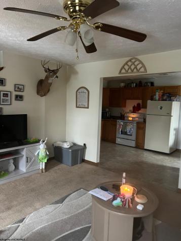 90 Johnson Avenue Elkins WV 26241