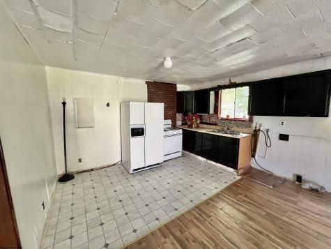 5 Lytle Lane Frametown WV 26623