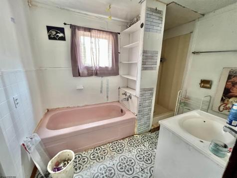 5 Lytle Lane Frametown WV 26623