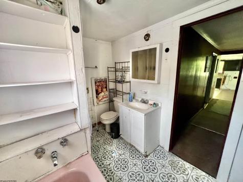 5 Lytle Lane Frametown WV 26623