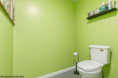 66 Mayre Street Jane Lew WV 26378