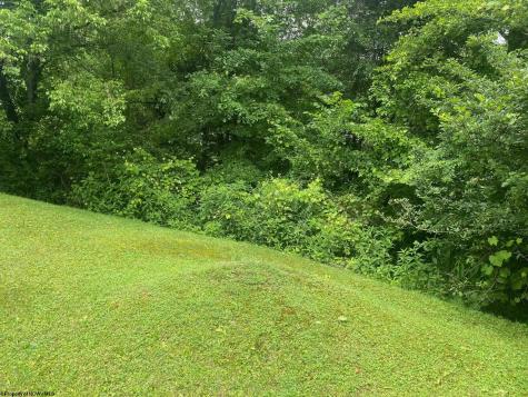 2294 Harrison Avenue Elkins WV 26241
