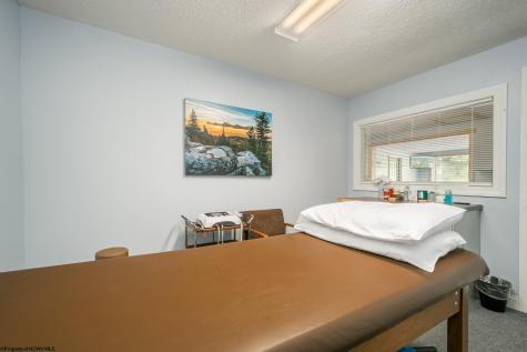 541 Spruce Street Thomas WV 26292