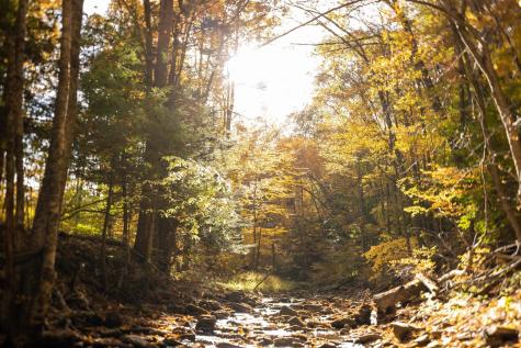 7242 Files Creek Road Beverly WV 26253
