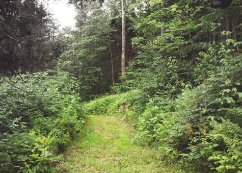 7242 Files Creek Road Beverly WV 26253