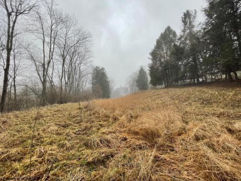 441 Route 20 South Road Buckhannon WV 26201