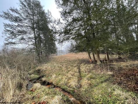 441 Route 20 South Road Buckhannon WV 26201