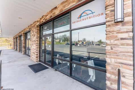 419 S Virginia Avenue Bridgeport WV 26330