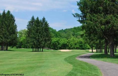 144 Bel Meadows Drive Mount Clare WV 26408