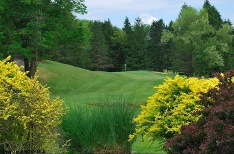 144 Bel Meadows Drive Mount Clare WV 26408