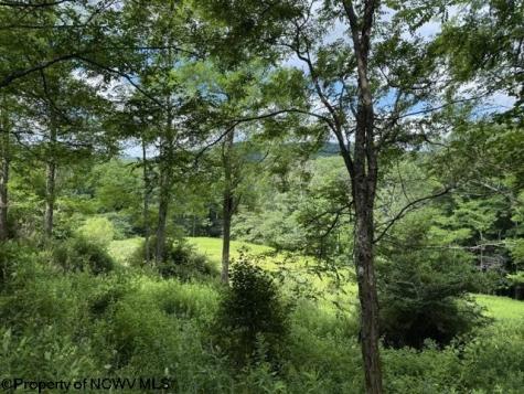 36 Hawthorne Valley Drive Slaty Fork WV 26291-000