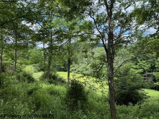 36 Hawthorne Valley Drive Slaty Fork WV 26291-000