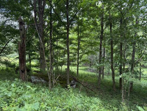 36 Hawthorne Valley Drive Slaty Fork WV 26291-000