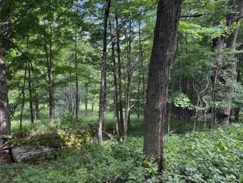 36 Hawthorne Valley Drive Slaty Fork WV 26291-000