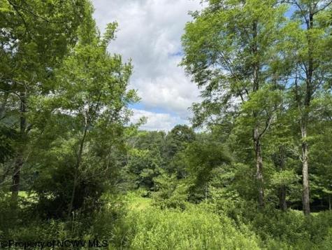 36 Hawthorne Valley Drive Slaty Fork WV 26291-000