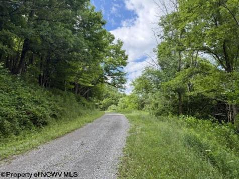 36 Hawthorne Valley Drive Slaty Fork WV 26291-000
