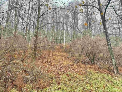 TBD Toms Run Road Roanoke WV 26447