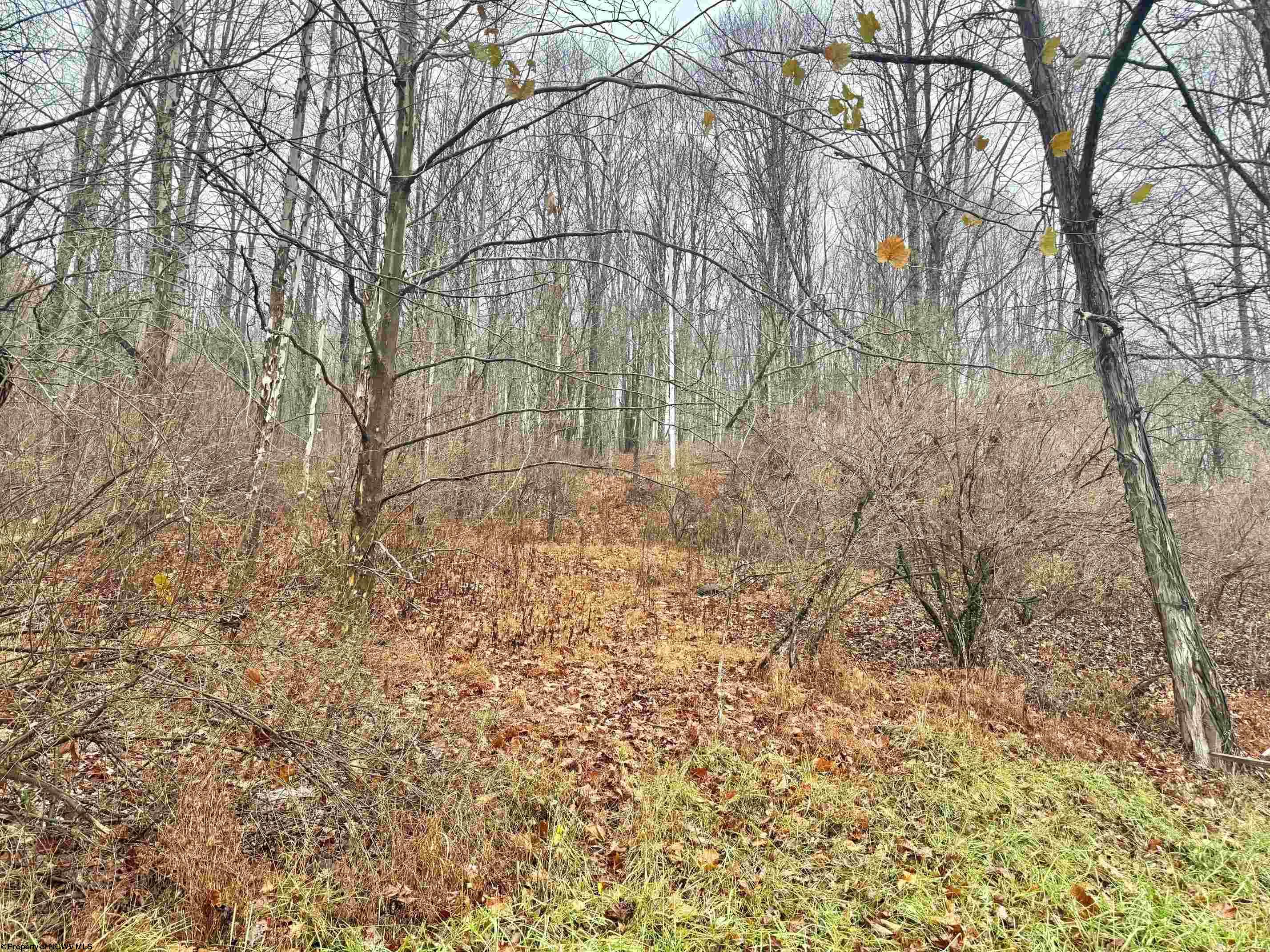 0 Toms Run Road Roanoke WV 26447