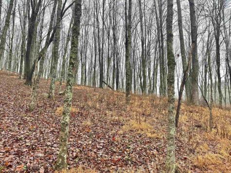0 Toms Run Road Roanoke WV 26447