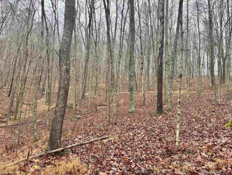 0 Toms Run Road Roanoke WV 26447