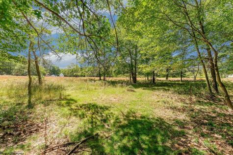 48 Hazelwood Drive Bruceton Mills WV 26525