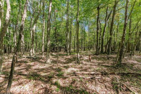 48 Hazelwood Drive Bruceton Mills WV 26525