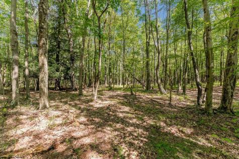 48 Hazelwood Drive Bruceton Mills WV 26525