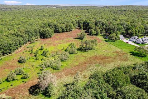 48 Hazelwood Drive Bruceton Mills WV 26525