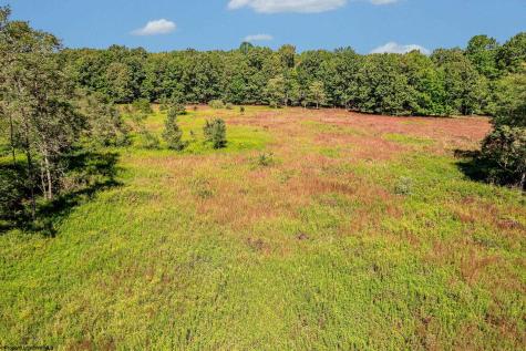 48 Hazelwood Drive Bruceton Mills WV 26525
