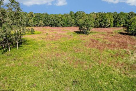 48 Hazelwood Drive Bruceton Mills WV 26525