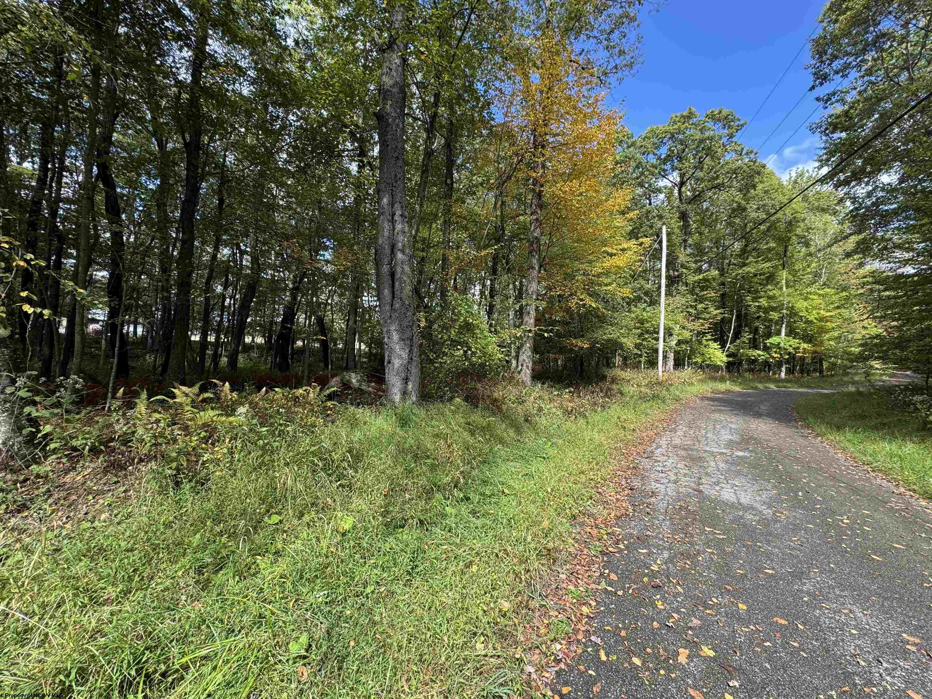 5 Dogwood Lane Terra Alta WV 26764