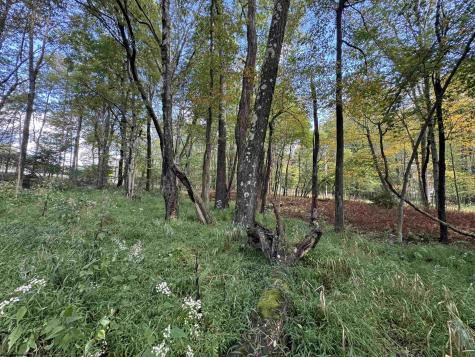 5 Dogwood Lane Terra Alta WV 26764