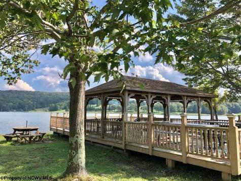 5 Dogwood Lane Terra Alta WV 26764